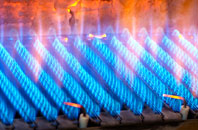 Tredustan gas fired boilers